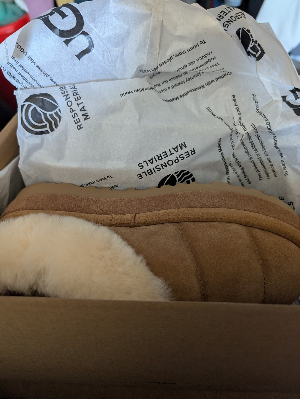 Ugg tazzlita New In Box